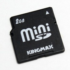 Scheda MiniSD Kingmax 2 GB per