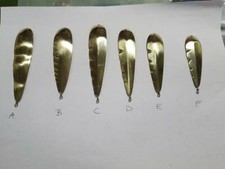 ONDULANTI TROTA LACUSTRE