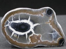 Septaria maroc 6 x - septaria,
