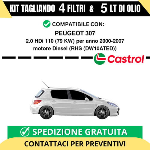 Tagliando per peugeot - tagliando,