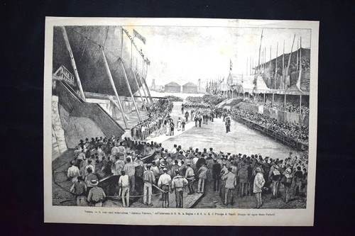 Amerigo vespucci margherita - amerigo,