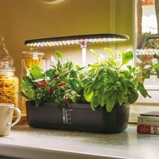 Orto idroponico indoor 12