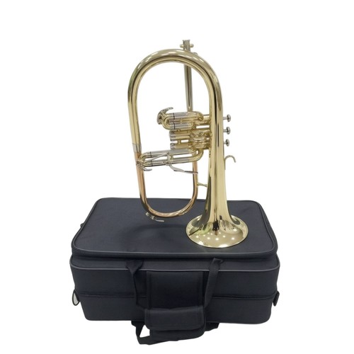 Flicorno sib con - in,