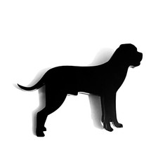 Canna Corso Cane Spilla