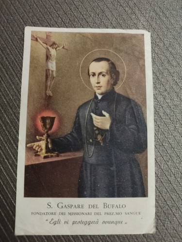 San gaspare del bufalo - bufalo,, holy