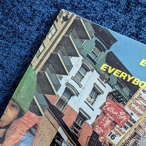 Madonna everybody vinyl - everybody,