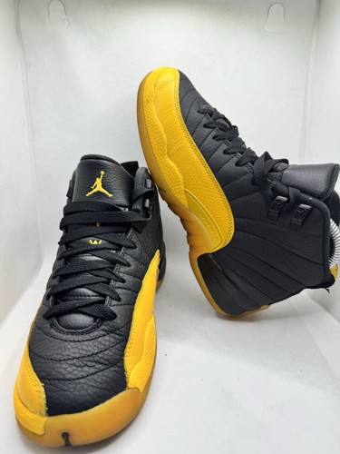 Nike air jordan retro gs - 12,