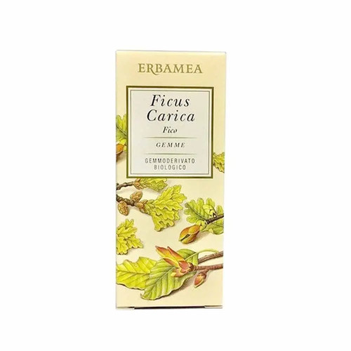 Erbamea ficus carica gemme - ficus,
