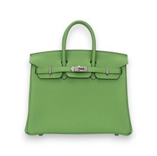 Birkin 25 Vert Yucca Togo