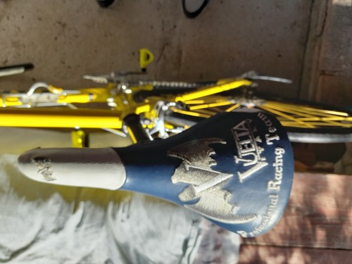bici corsa giant