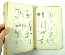 1882  SCIENZE NATURALI STORIA
