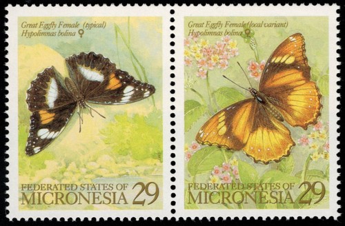 Micronesia 182 farfalle - -,