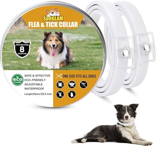 Collari cane - 2,