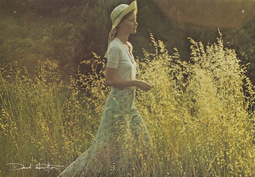 david hamilton