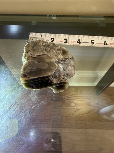 Grande esemplare minerale - , di