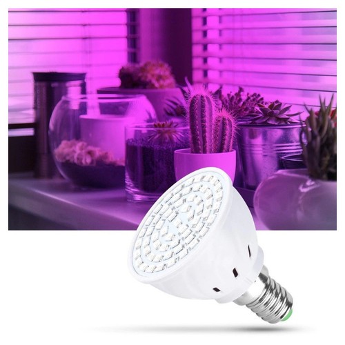 Lampadina led smd lampada - smd,