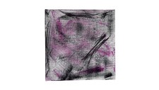 Quadro Veleno Rosa Arte