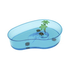 Imac Tartarughiera Virgola