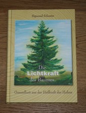 Die Lichtkraft des Baumes