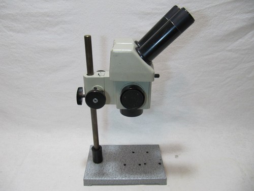 Lomo ogme stereomicroscopio - lomo, ogme-p2