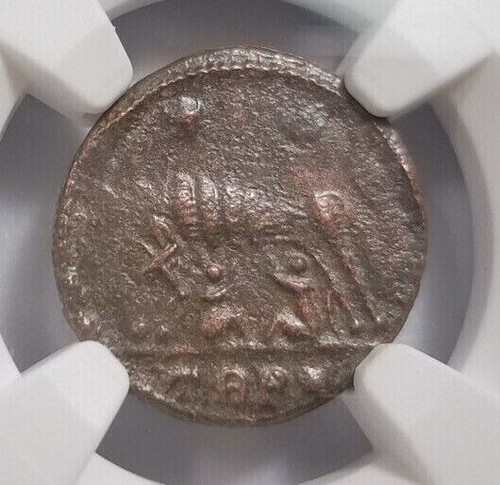 Gemelli lupo costantino - gemelli, ngc