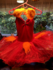 The ballet Costume Dress with
