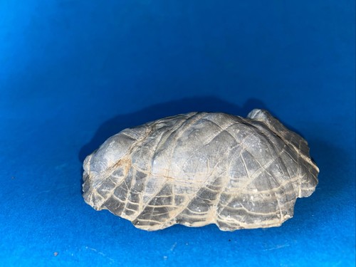 Pietra naturale suiseki
