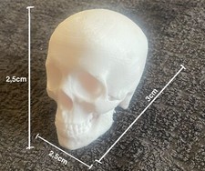 Teschio Umano x5, Halloween