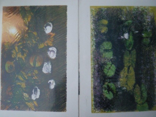 Litografie cazzaniga - di,