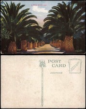 Cartolina California Generale