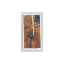 1938 Will's Cigarettes Garden