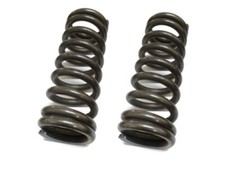 Coppia molle posteriori molla