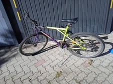 Bicicletta Mountain Bike Esperia Ruota 26" Cambio Shimano 