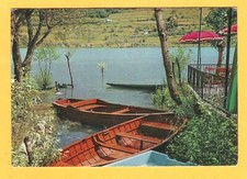Cartolina Spinone al Lago