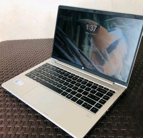 Notebook probook 445 - probook, g8