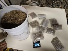 15 Grammi Semi di Bamboo