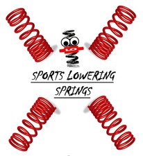 LO LOWERING SPRINGS for