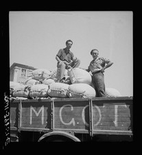 Foto catania sicilia 1943 - sicilia,