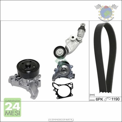 Kit distribuzione pompa - kit, +
