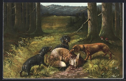 Cartolina artista rudolf - d'artista,