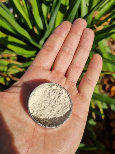 Endomicorriza rhizophagus - endomicorriza,