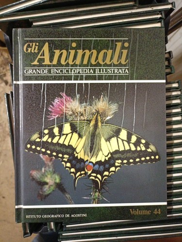 Gli animali grande - gli,