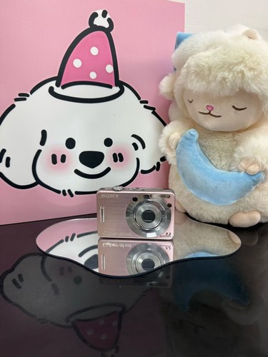 Sony dsc w55 - sony, full
