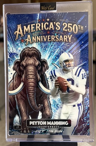 Peyton manning america - america, 250