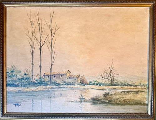 Luciano torsi 20x30 olio - luciano,