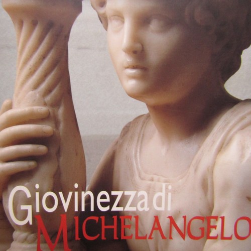 Giovinezza michelangelo - giovinezza, di