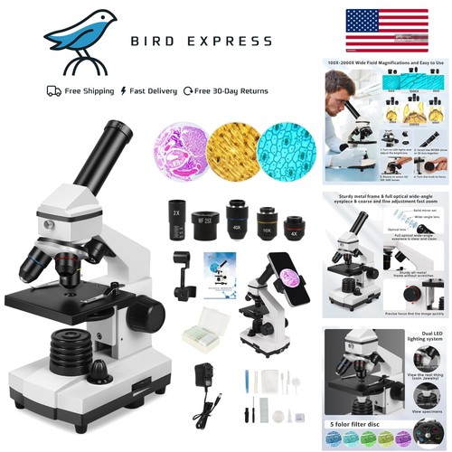 Microscopio composto - microscopio,