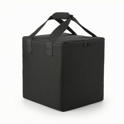 Borsa porta dischi con manici - dischi,