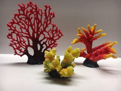 Acquario corallo reef - acquario,
