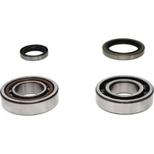 ProX Crankshaft Crank Bearing